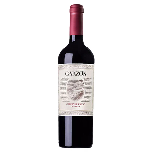 63e767edc0aaa0fff4c0ca92c0a146b3cd0b06315a0f795e762a583aa69cd773 Bodega Garzon Cabernet Franc Reserve 2023 - 750ML - Image 1